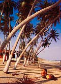 Playa El Agua